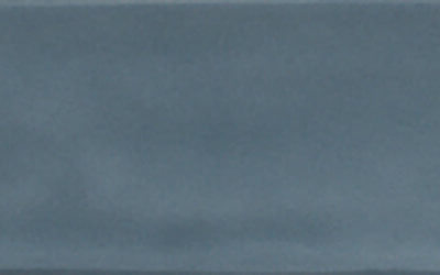 Robin's Egg Blue